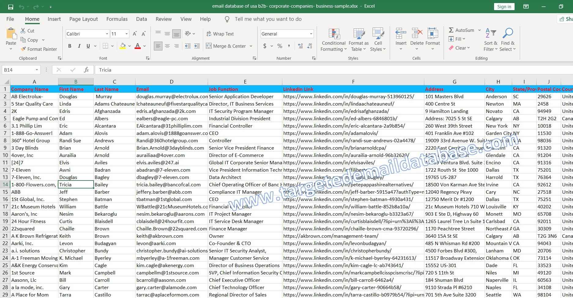 type of email in database