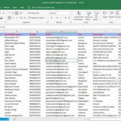 mobile & email database of cc holders