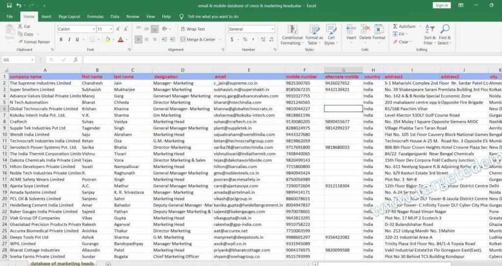 mobile & email database of cmos & marketing heads